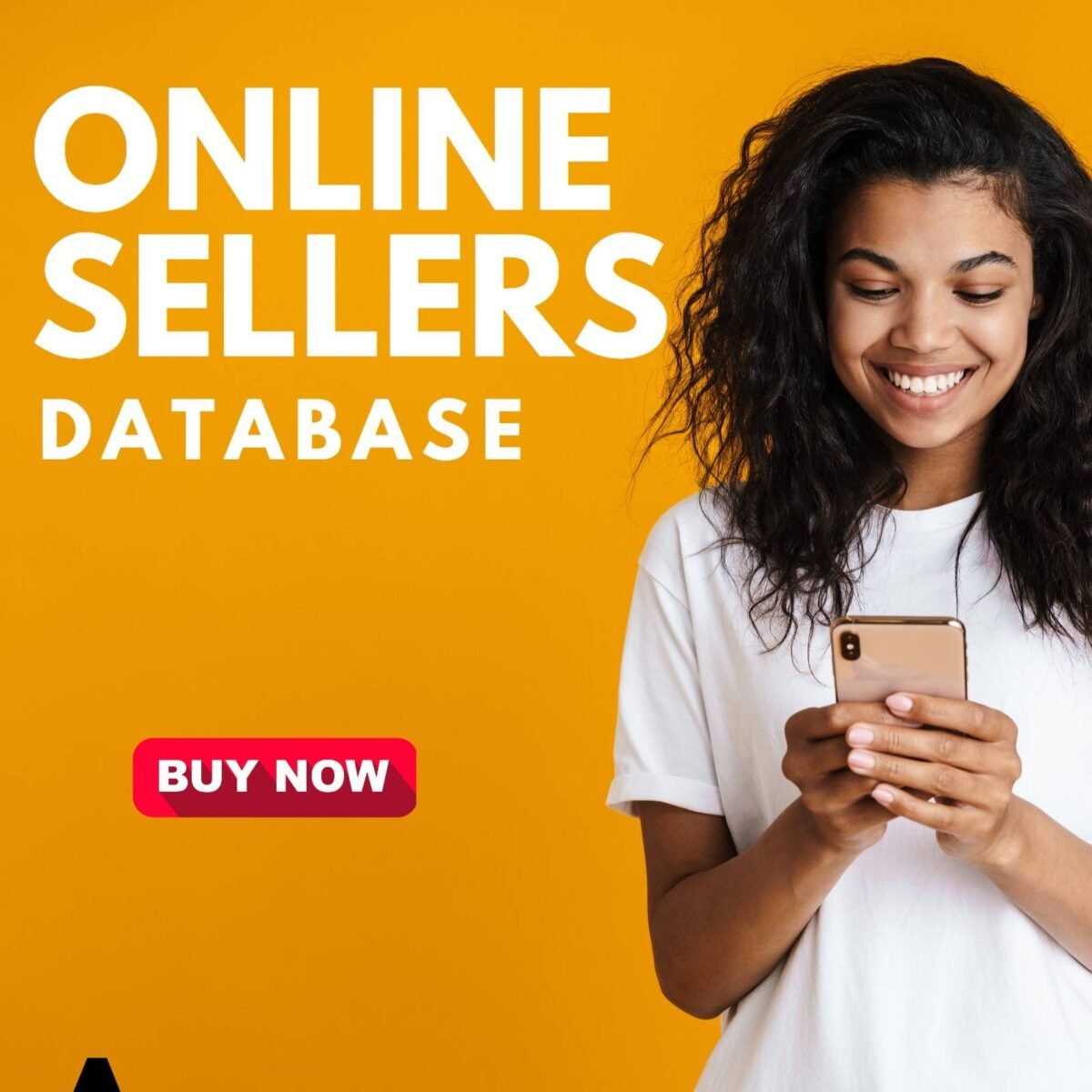 Online Sellers Databases - Image 1