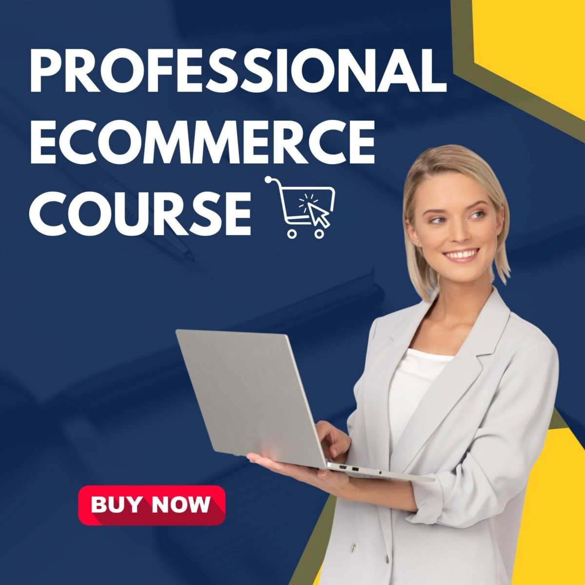 Professional Ecommerce Course - Image 1